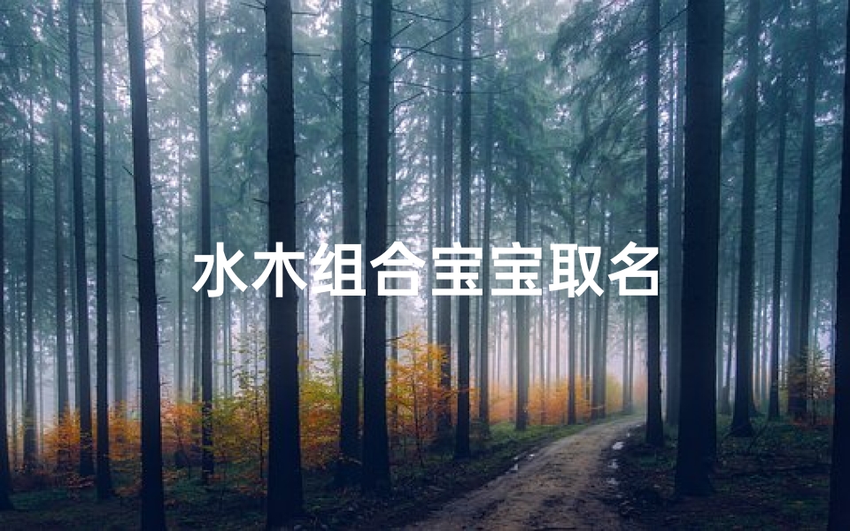 水木组合宝宝取名