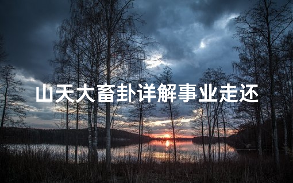 山天大畜卦详解事业走还是留-《山天小畜吉凶解析:揭秘运势奥秘》