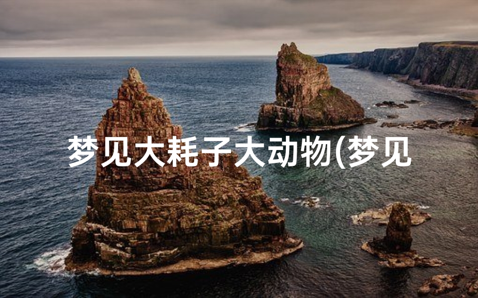 梦见大耗子大动物(梦见一只大耗子)