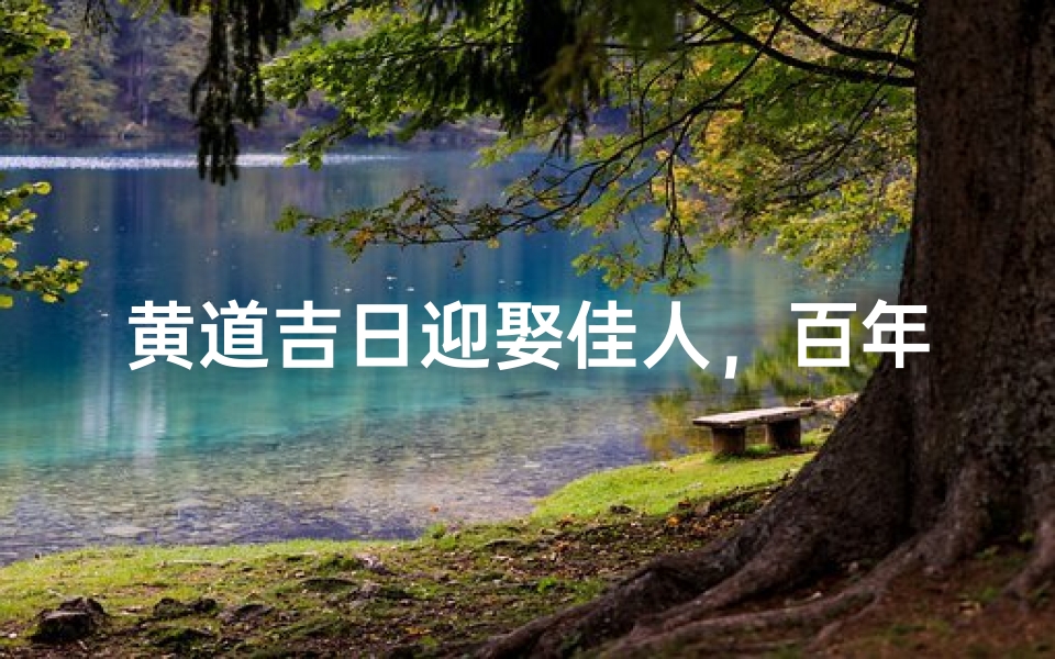 黄道吉日迎娶佳人,百年好合喜气洋洋