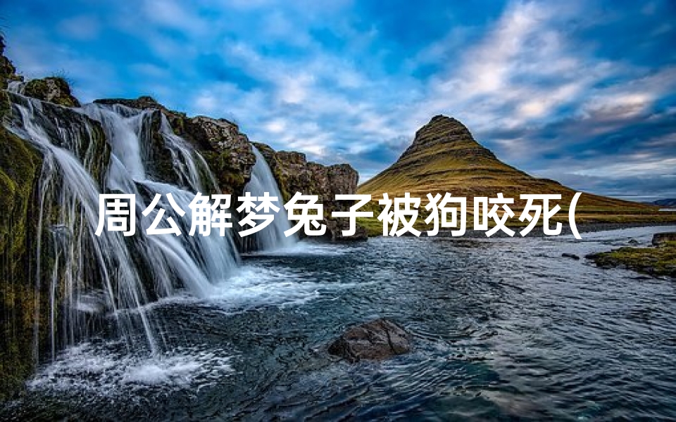 周公解梦兔子被狗咬死(梦见兔子是什么兆头)