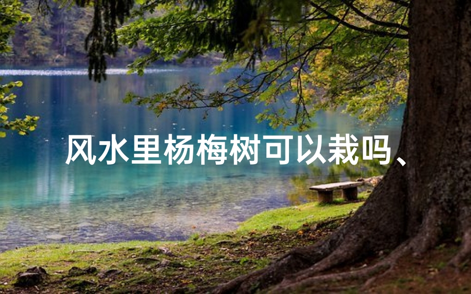 风水里杨梅树可以栽吗、风水里杨梅树可以栽吗视频