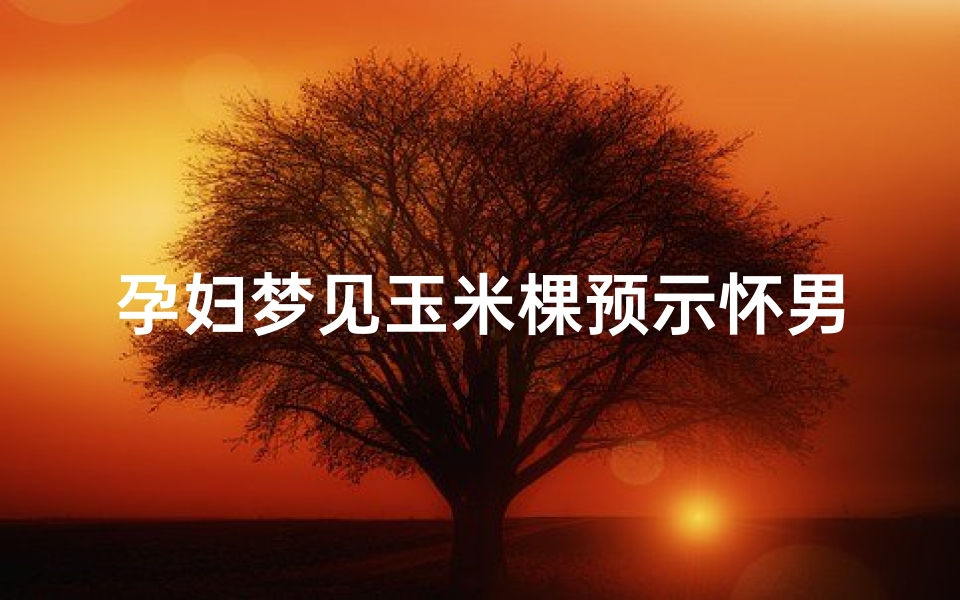 孕妇梦见玉米棵预示怀男怀女_孕妇梦见玉米生男准吗