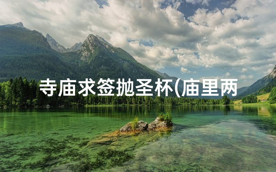 寺庙求签抛圣杯(庙里两个木头是什么)