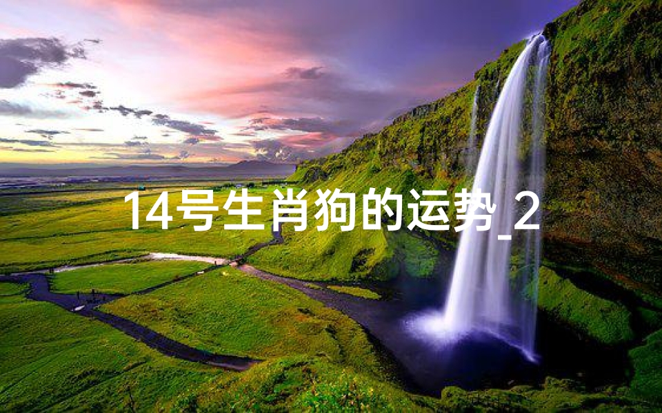 14号生肖狗的运势_2014属狗每月运势