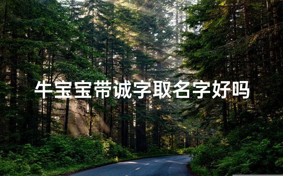牛宝宝带诚字取名字好吗-《牛宝宝带诚字取名的独特魅力》