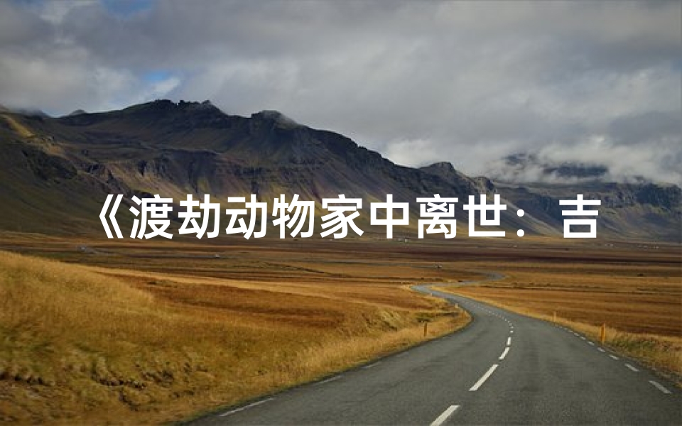 《渡劫动物家中离世:吉凶预兆揭秘》