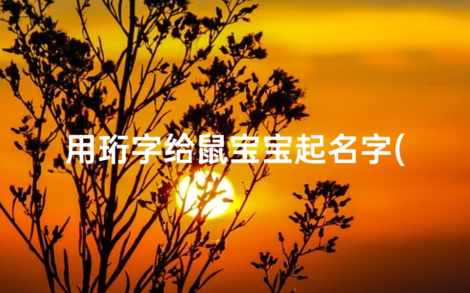 用珩字给鼠宝宝起名字(鼠年出生的蒋姓男孩取什么名字好)