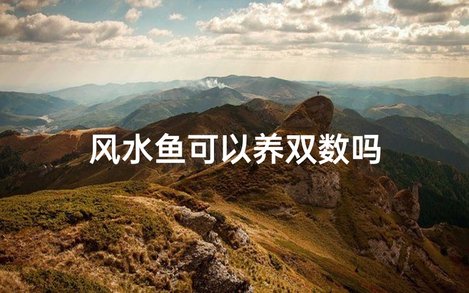 风水鱼可以养双数吗