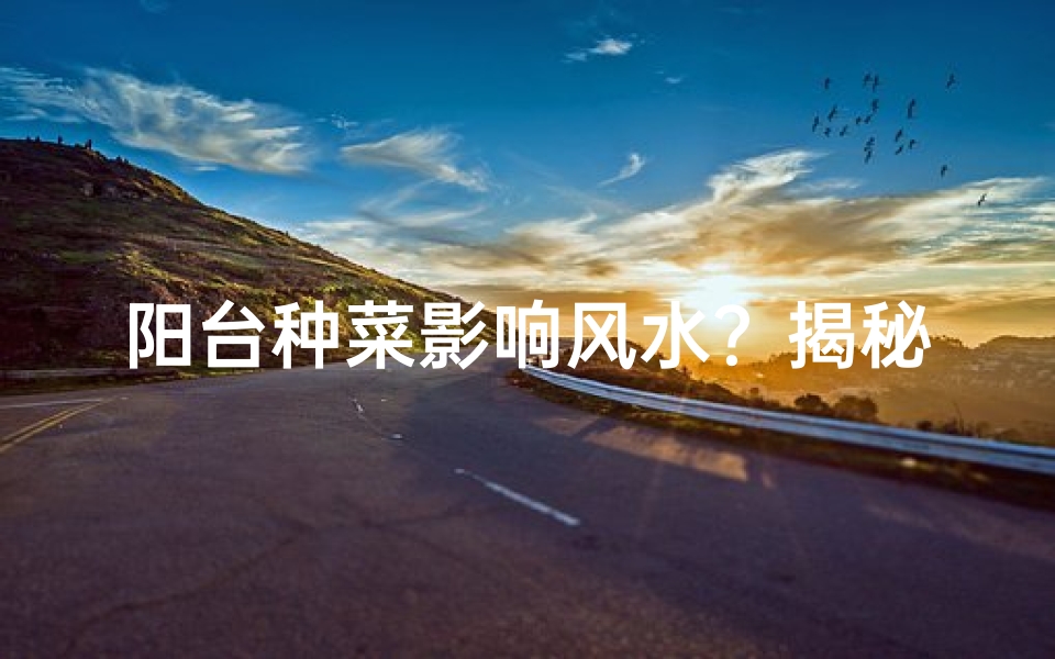 阳台种菜影响风水?揭秘家居风水的秘密