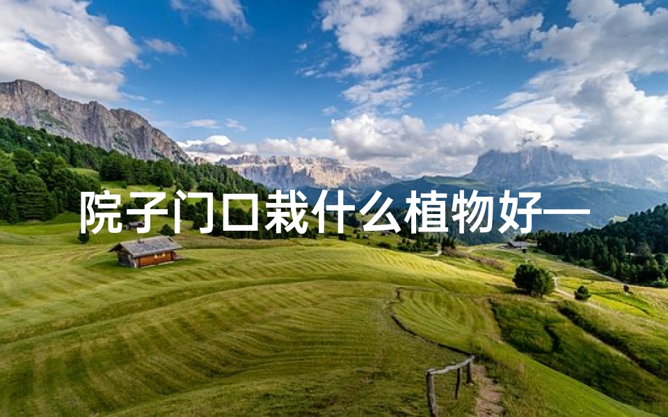 院子门口栽什么植物好—院门口种花风水考究:宜不宜?