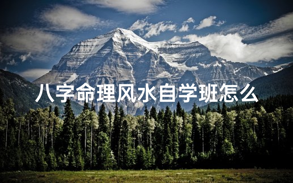 八字命理风水自学班怎么样-八字风水命理师