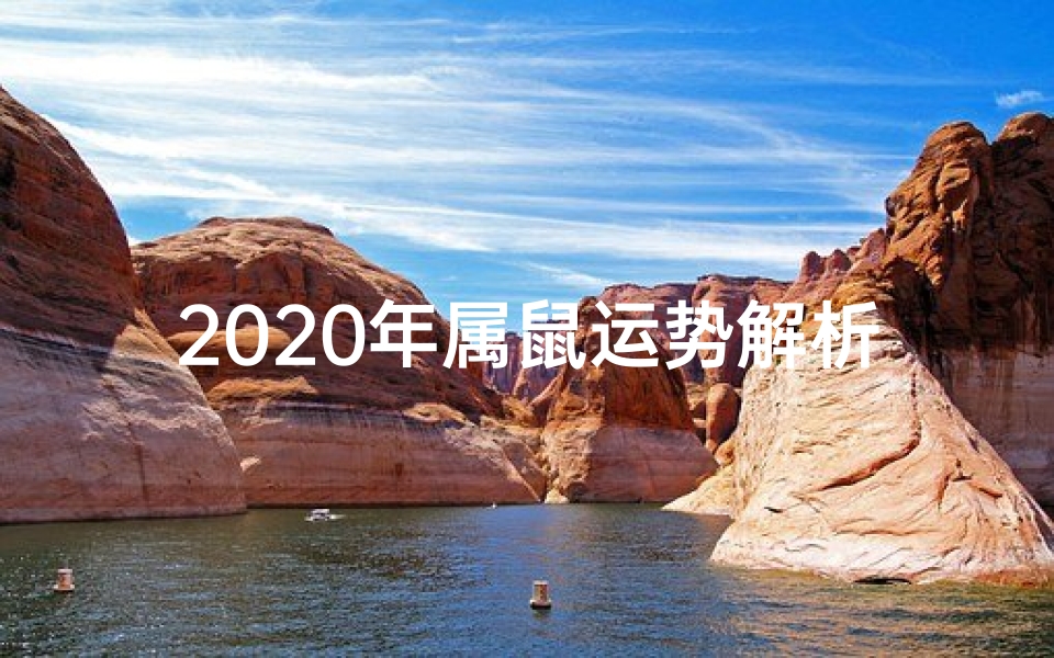 2020年属鼠运势解析:鼠年运势大揭秘