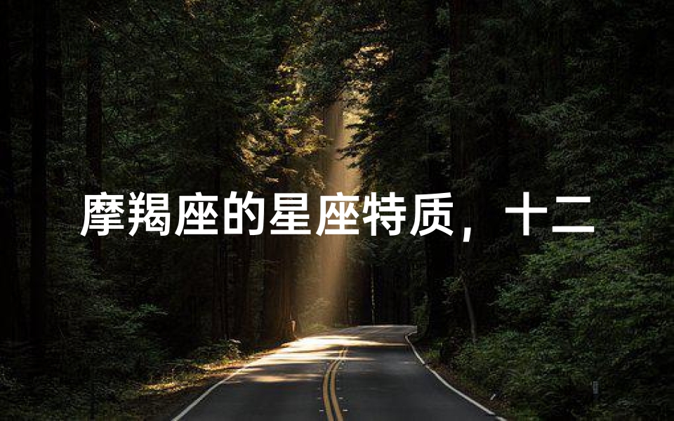 摩羯座的星座特质,十二星座中谁与摩羯座最相似