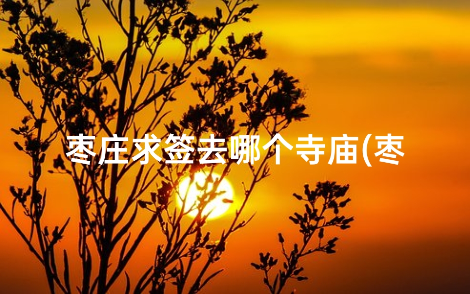 枣庄求签去哪个寺庙(枣庄青檀寺能抽签吗现在)