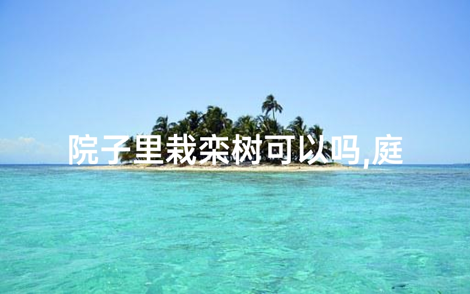 院子里栽栾树可以吗,庭院种栾树风水吉否?