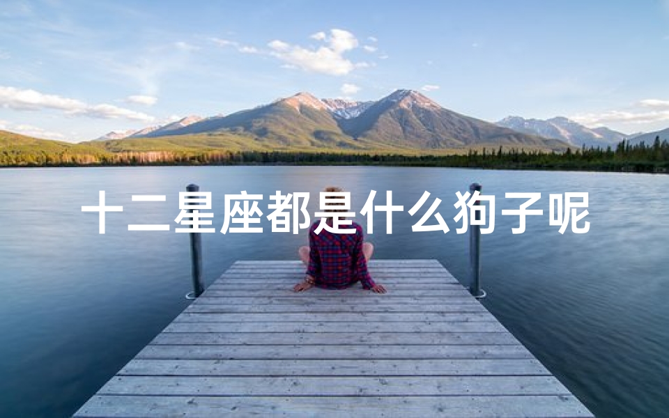 十二星座都是什么狗子呢上(12星座的 本命狗 原来是这些,你养对了吗 )