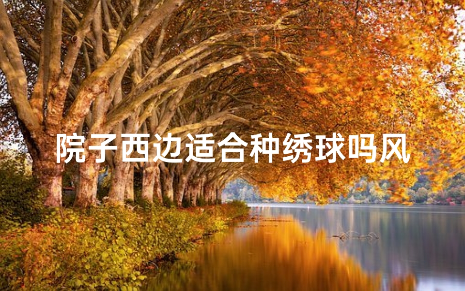 院子西边适合种绣球吗风水