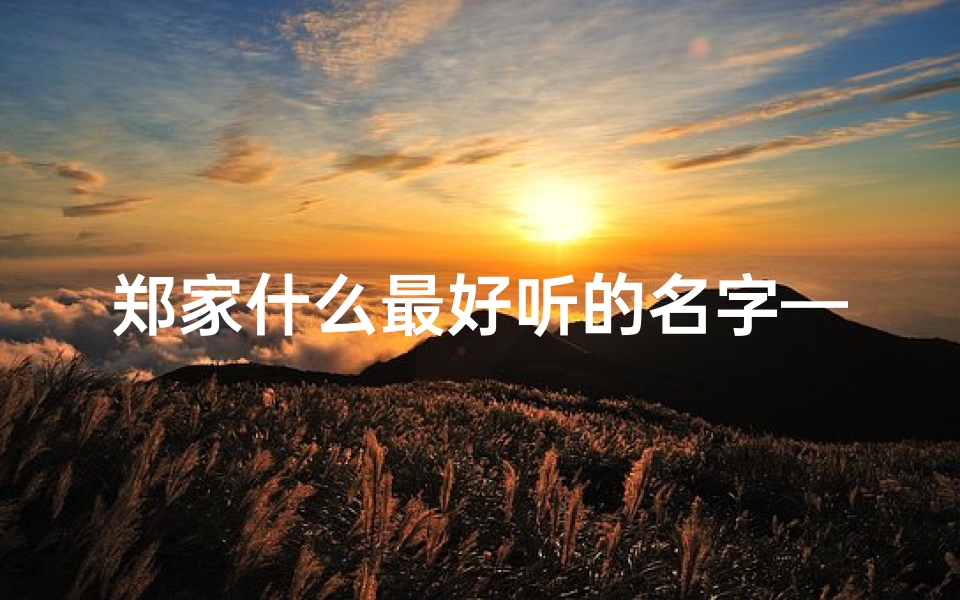 郑家什么最好听的名字—《郑家宝贝:男孩起名大全精选》