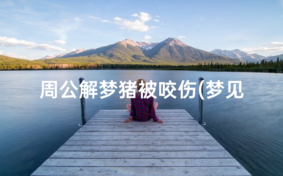 周公解梦猪被咬伤(梦见猪受伤的预兆)