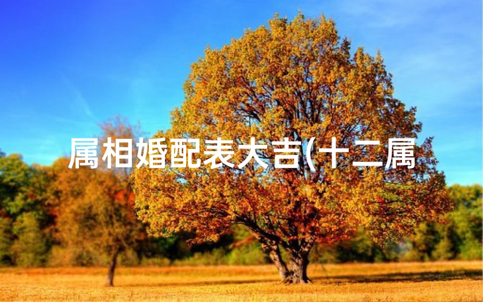 属相婚配表大吉(十二属相婚姻配对表)