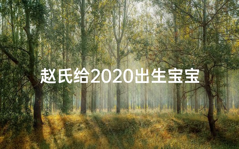 赵氏给2020出生宝宝取名;《赵氏宝宝,名字里的温馨故事》