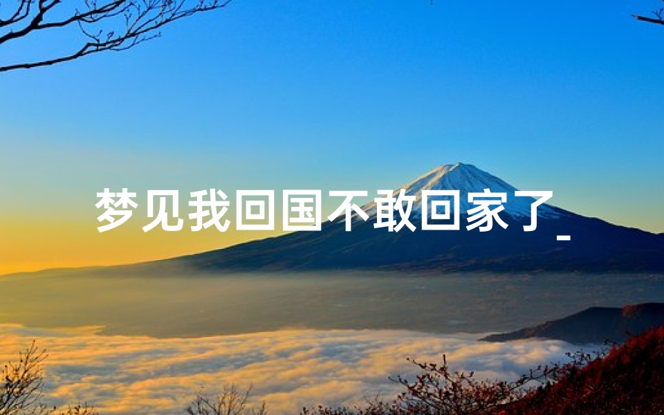 梦见我回国不敢回家了_梦见自己不能回国