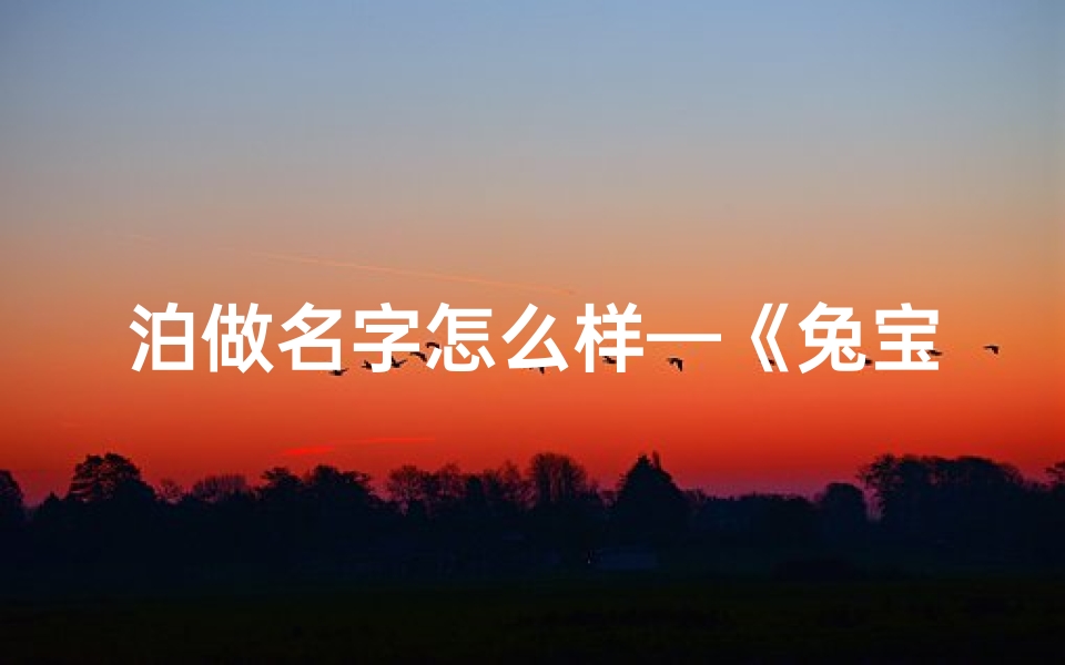 泊做名字怎么样—《兔宝宝泊字取名,寓意美好人生起航》