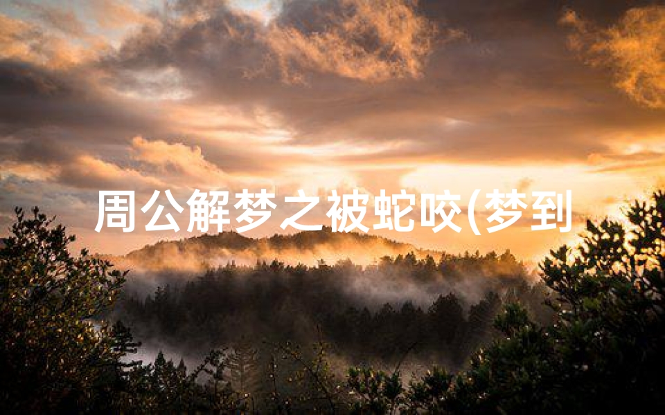 周公解梦之被蛇咬(梦到被很多蛇咬是什么意思)