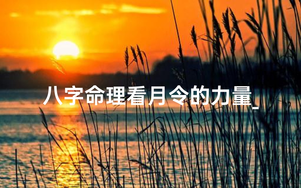 八字命理看月令的力量_八字月令力量解析:揭秘命运之钥