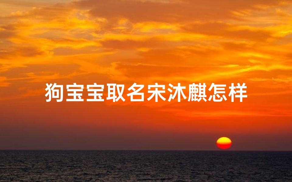 狗宝宝取名宋沐麒怎样