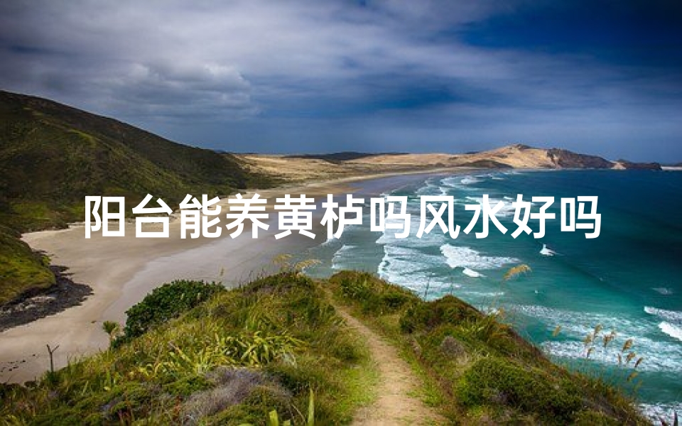 阳台能养黄栌吗风水好吗—阳台养黄栌风水解析:适宜与否揭秘