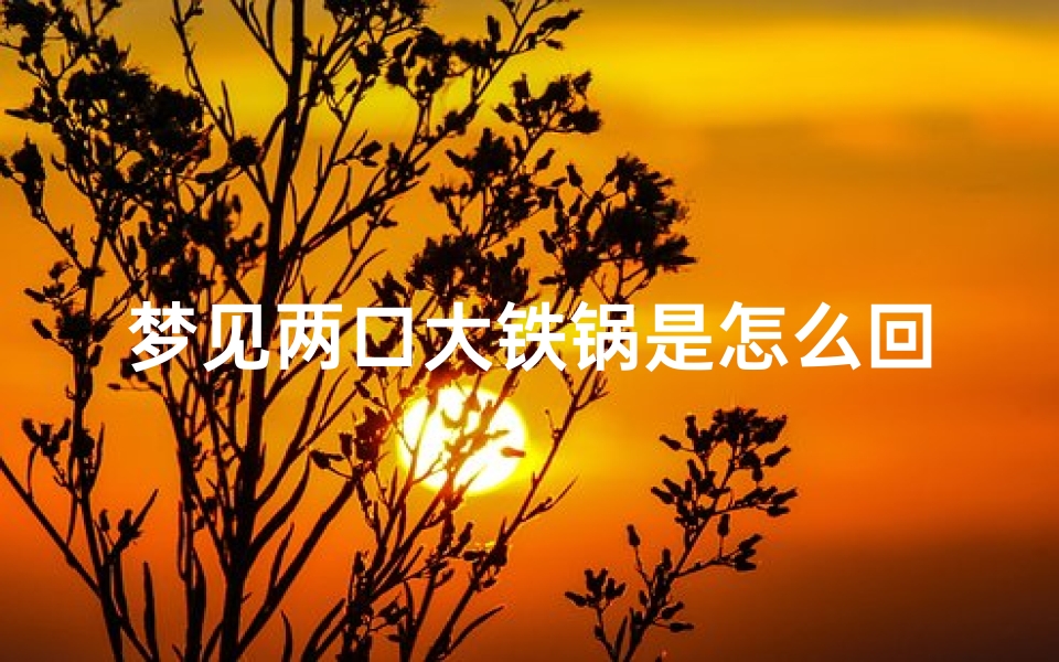 梦见两口大铁锅是怎么回事(梦到铁锅两半了)