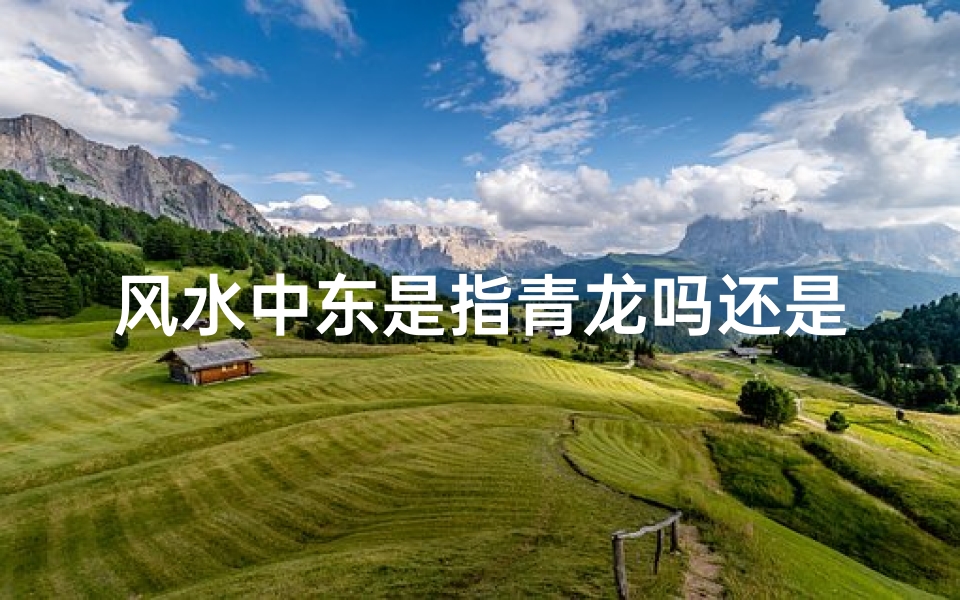风水中东是指青龙吗还是白虎,《风水揭秘:东指青龙,方位之秘》