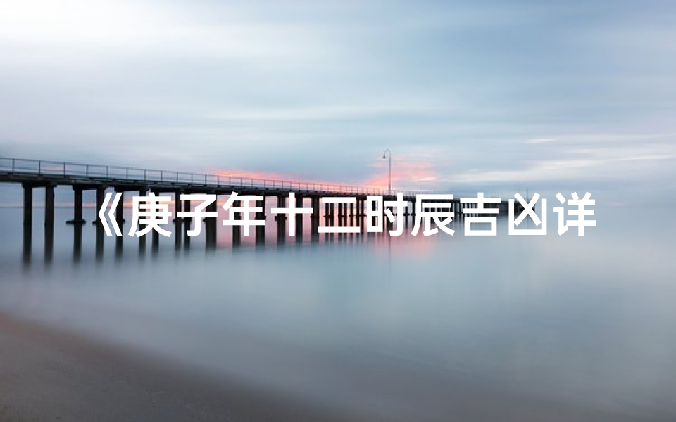 《庚子年十二时辰吉凶详析大全集》