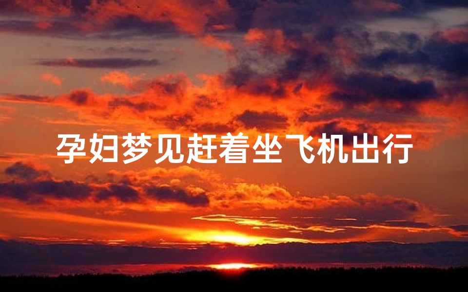 孕妇梦见赶着坐飞机出行—孕妇梦见赶着坐飞机出行回家