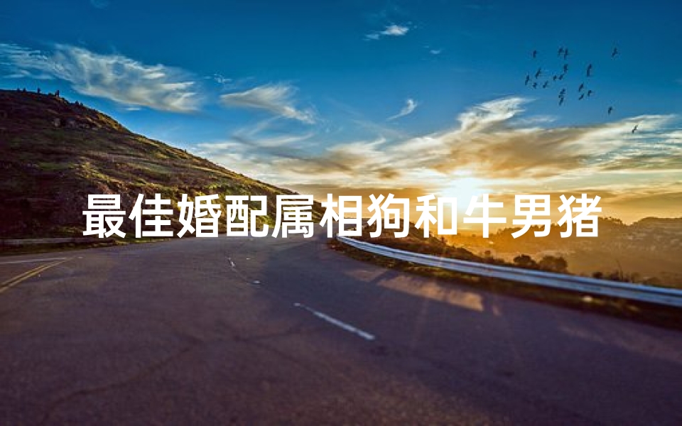 最佳婚配属相狗和牛男猪女(属猪女婚配哪些属相男猪女婚配什么属相最好)