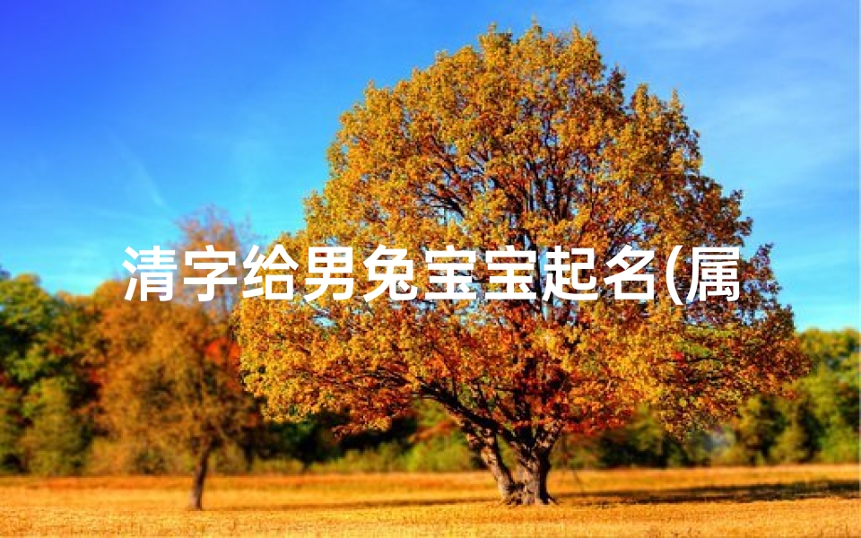 清字给男兔宝宝起名(属兔最吉利的五十个字)