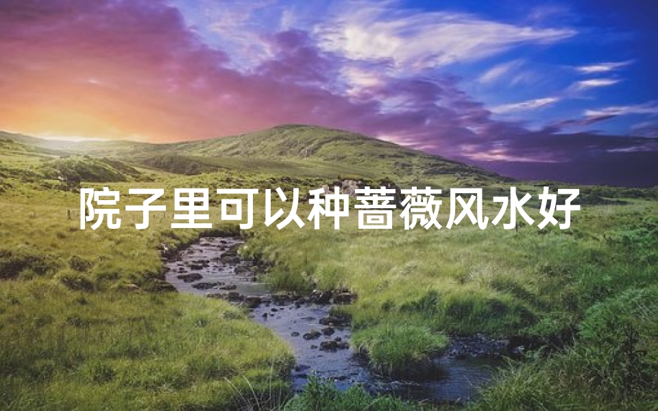 院子里可以种蔷薇风水好吗,风水庭院种蔷薇可行吗?