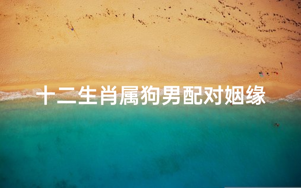 十二生肖属狗男配对姻缘表(属狗的男生与什么生肖相配呢 )