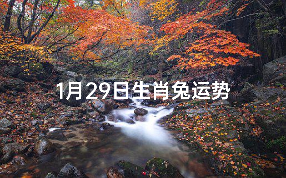 1月29日生肖兔运势
