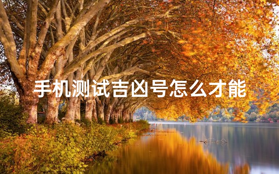 手机测试吉凶号怎么才能(怎么测手机号码吉凶 )