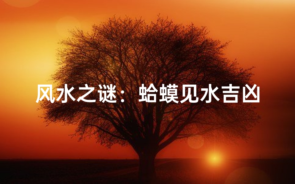 风水之谜:蛤蟆见水吉凶辨析