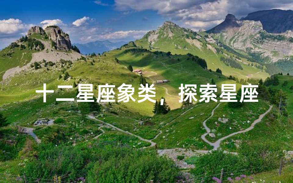 十二星座象类,探索星座元素的奥秘