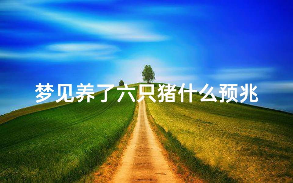 梦见养了六只猪什么预兆-梦见家里养了6头猪