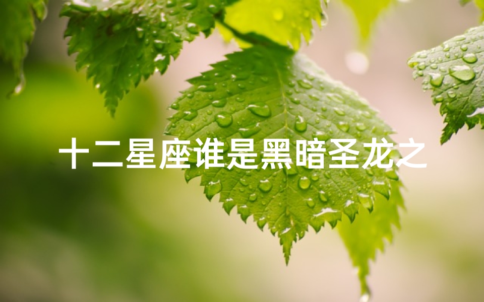 十二星座谁是黑暗圣龙之王(动漫名字)