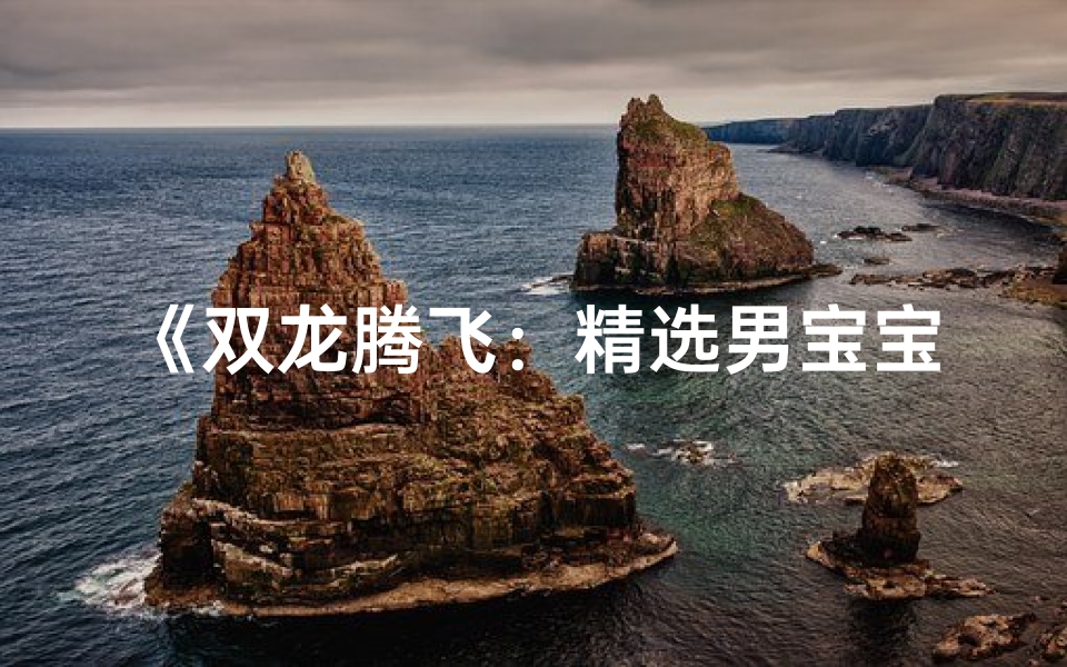 《双龙腾飞:精选男宝宝名字大全集》