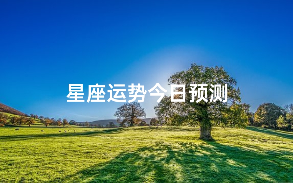 星座运势今日预测