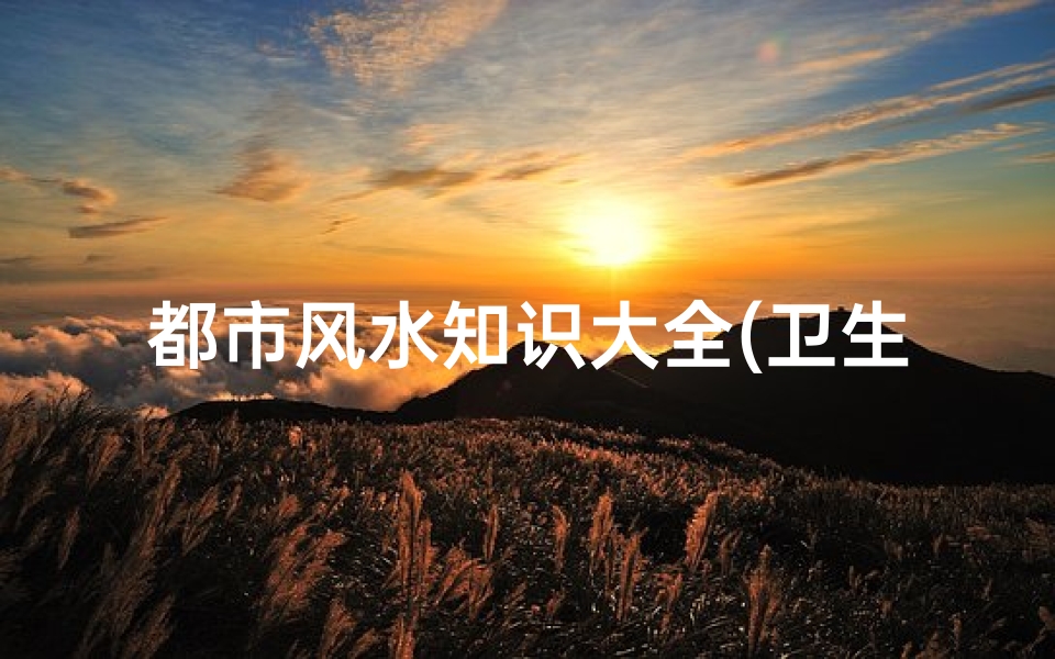 都市风水知识大全(卫生间的风水宜忌知识大全)