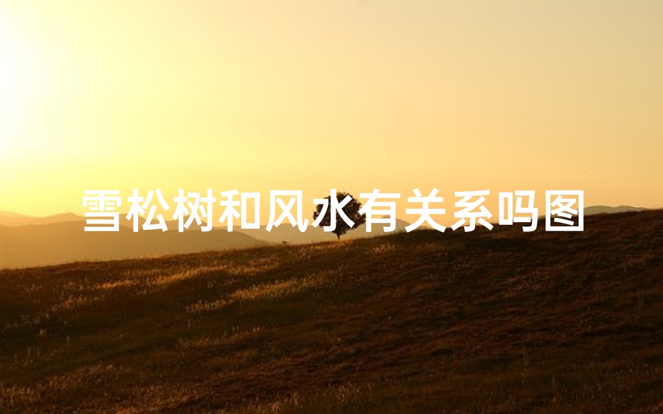 雪松树和风水有关系吗图片、雪松风水之谜:树木与风水的神秘联系